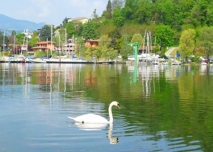 The Gulf - Maggiore Monvalle