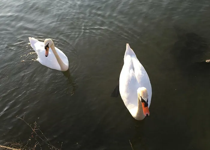 Σπίτι διακοπών The Gulf - Maggiore Monvalle