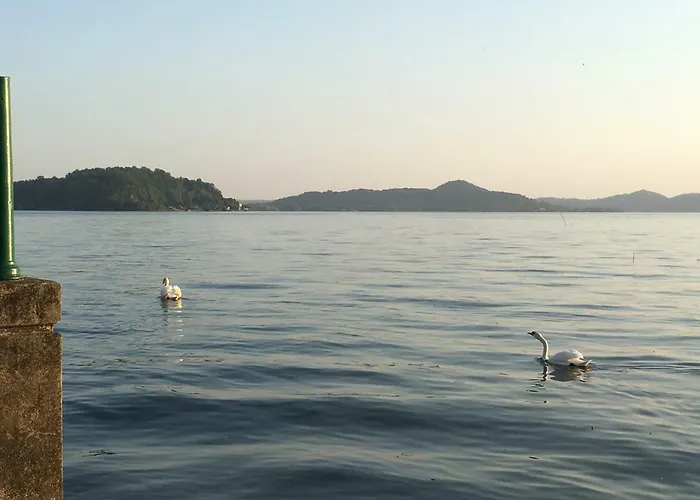 The Gulf - Maggiore Monvalle