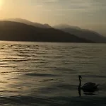 The Gulf - Maggiore