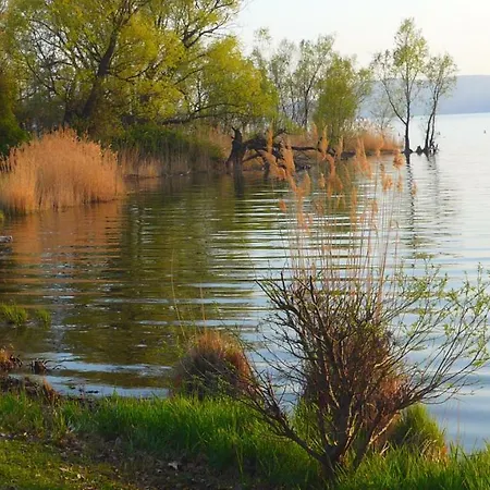 The Gulf - Maggiore Monvalle