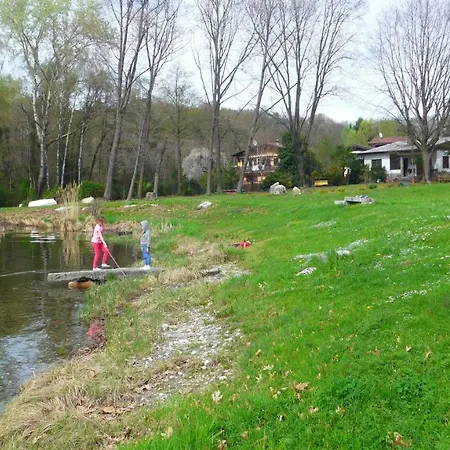 The Gulf - Maggiore *