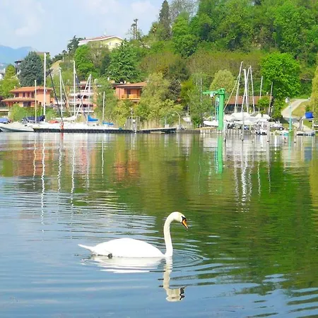 The Gulf - Maggiore Monvalle