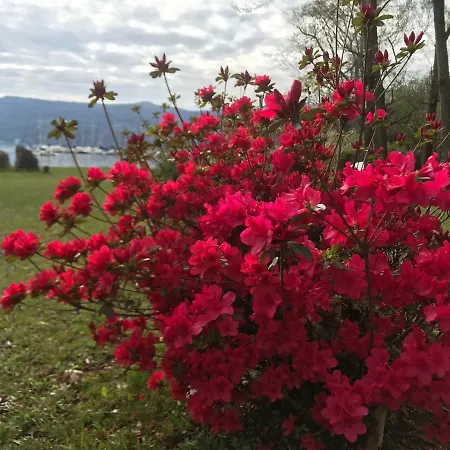 The Gulf - Maggiore Semesterbostad