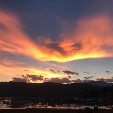 The Gulf - Maggiore