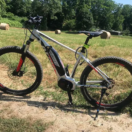 The Gulf - Maggiore *