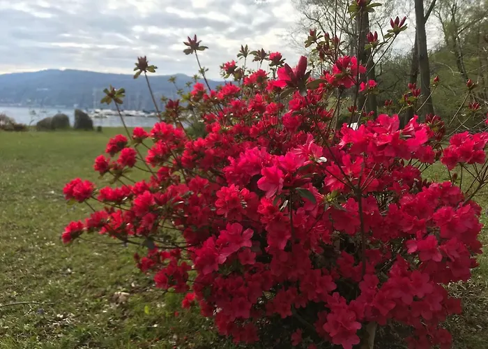 The Gulf - Maggiore 度假居