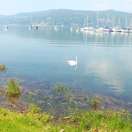 The Gulf - Maggiore