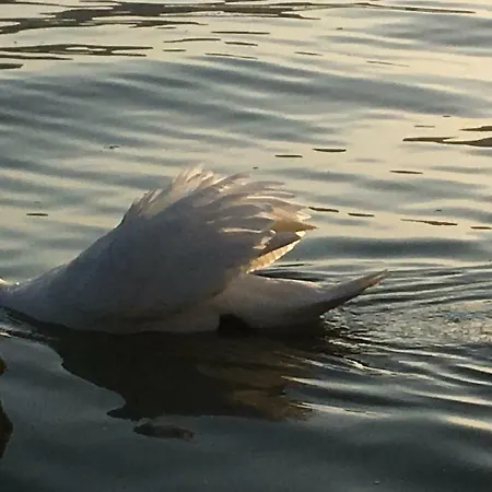 The Gulf - Maggiore Vakantiehuis