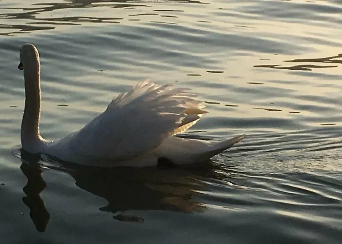 The Gulf - Maggiore Hébergement de vacances