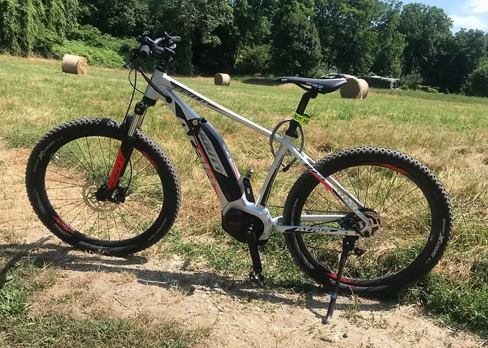 The Gulf - Maggiore *